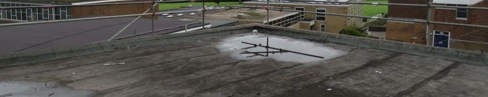 dakreparatie plat dak in Weert